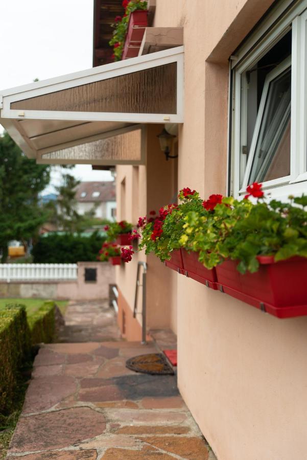 Gite Au Coeur De L'Alsace Maison Gatsby Staffelfelden Exterior foto