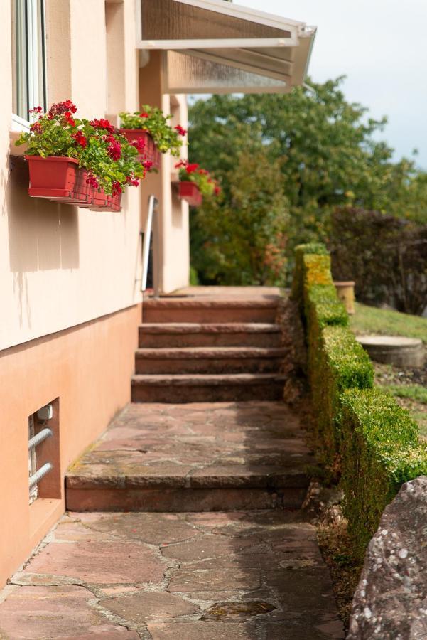 Gite Au Coeur De L'Alsace Maison Gatsby Staffelfelden Exterior foto